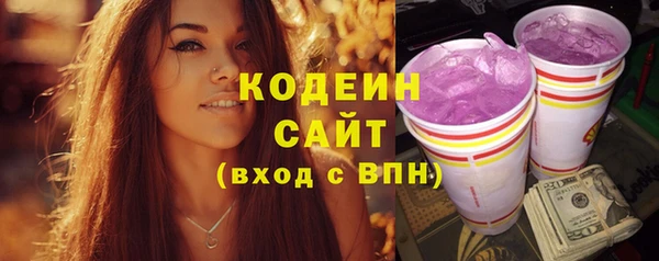 твердый Арсеньев