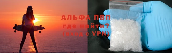 твердый Арсеньев