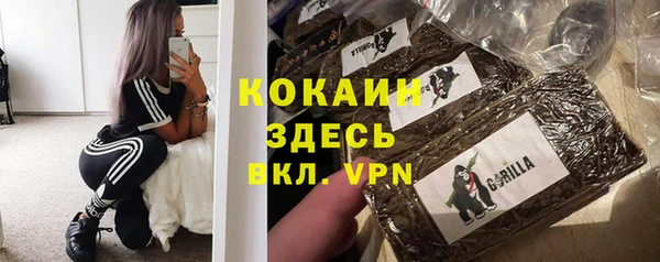 твердый Арсеньев