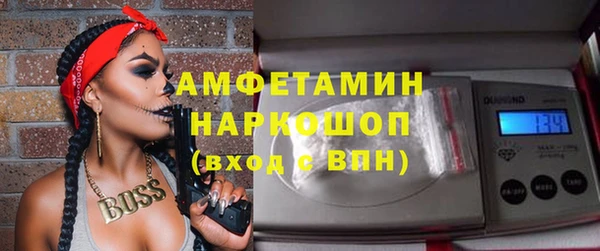 твердый Арсеньев