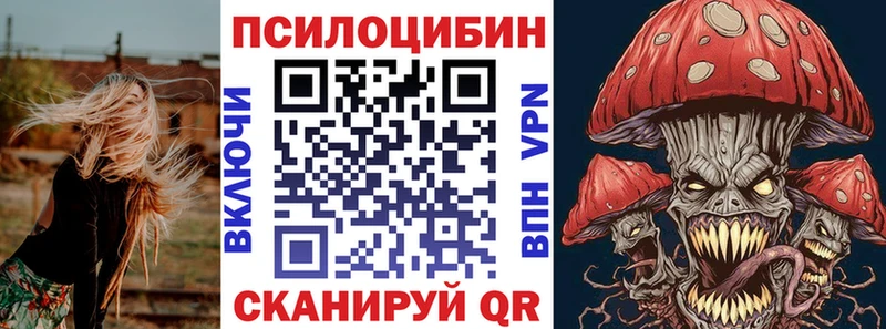 Псилоцибиновые грибы Cubensis закладки Чебоксары